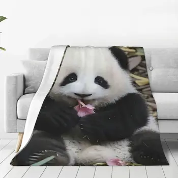Одеяло с животными в виде панды Хуахуа, теплые уютные фланелевые одеяла с защитой от скатывания для роскошных постельных принадлежностей по доступным ценам