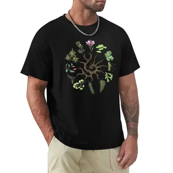 Эволюционное дерево растений (простой фон) Футболки на заказ, футболки нового выпуска, футболки sublime, футболки, мужские футболки